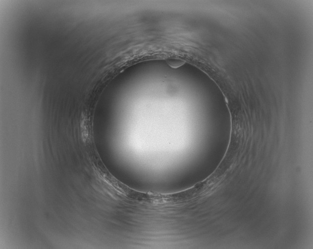 X0000069811490200605261735