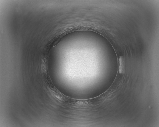 X0000069811491200605261735