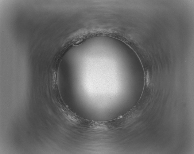 X0000069811492200605261735