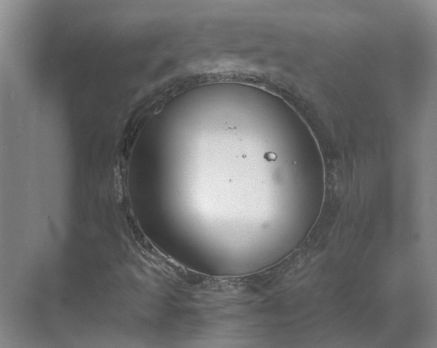 X0000069811493200605261735