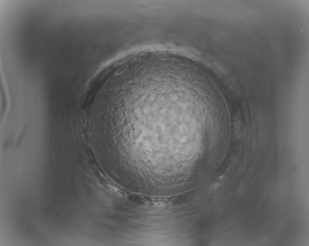 X0000069811494200605261735