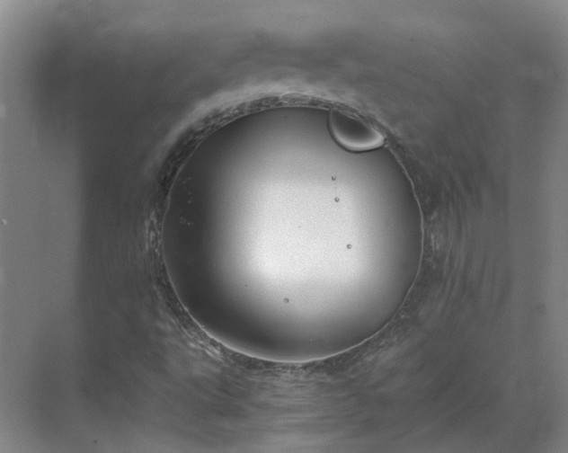 X0000069811495200605261735