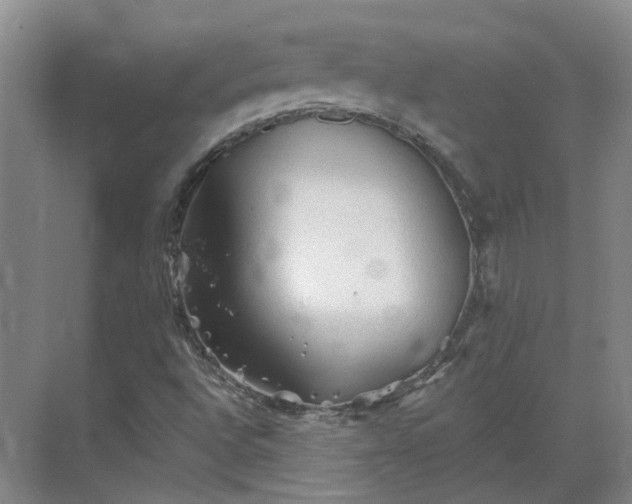 X0000069811496200605261735