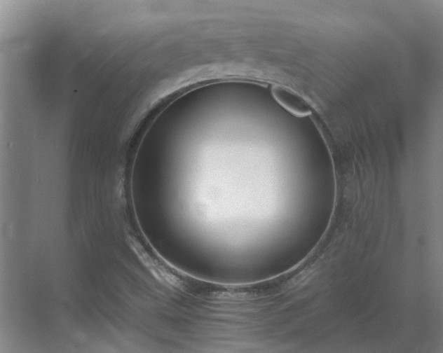 X0000069811499200605261735