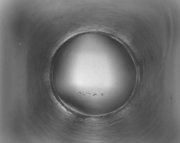 X0000069811500200605261735