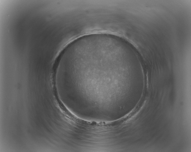 X0000069811501200605261735