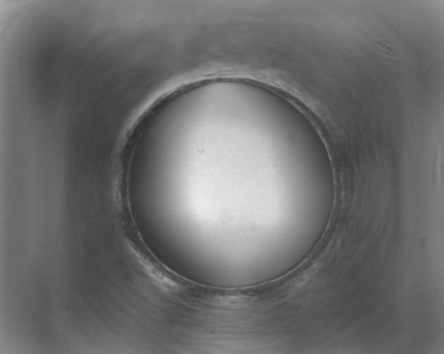 X0000069811502200605261735