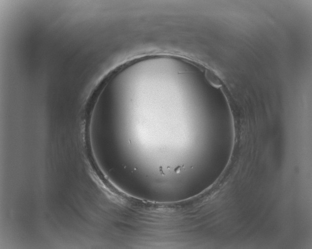 X0000069811503200605261735