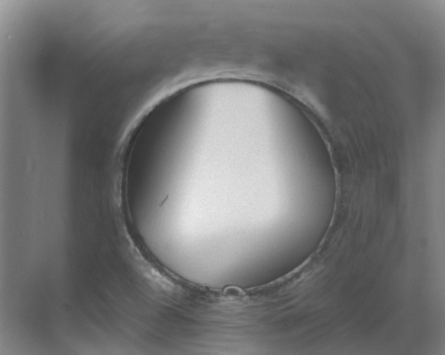 X0000069811504200605261735