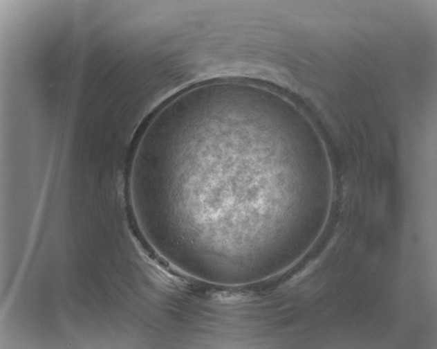 X0000069811505200605261735