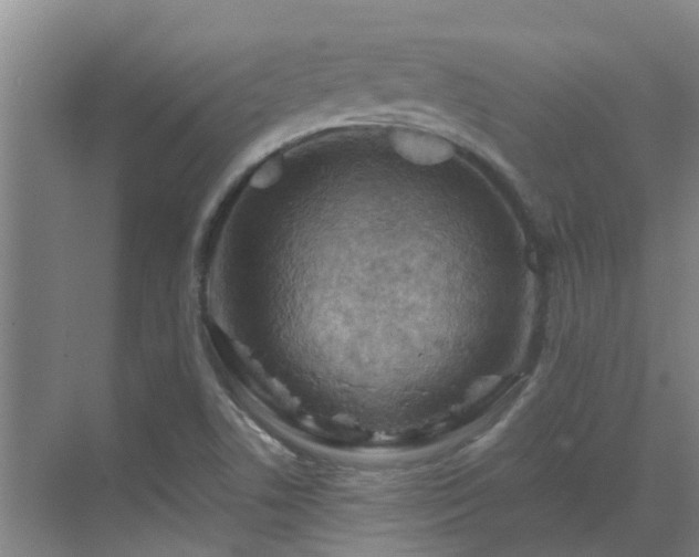 X0000069811506200605261735