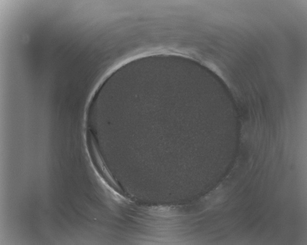 X0000069811508200605261735