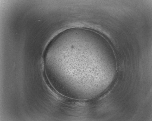 X0000069811509200605261735