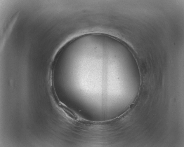 X0000069811510200605261735