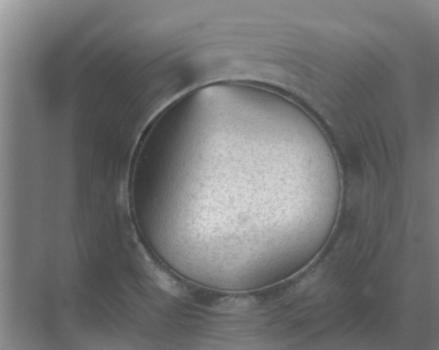 X0000069811513200605261735