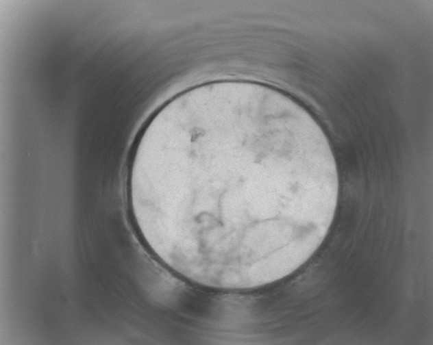 X0000069811514200605261735