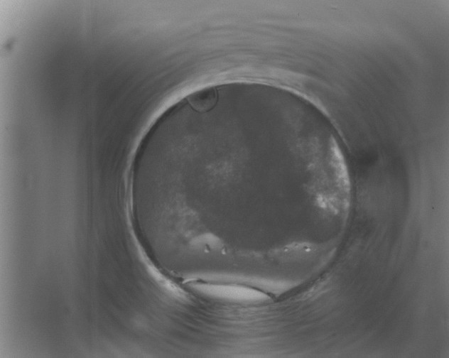 X0000069811515200605261735