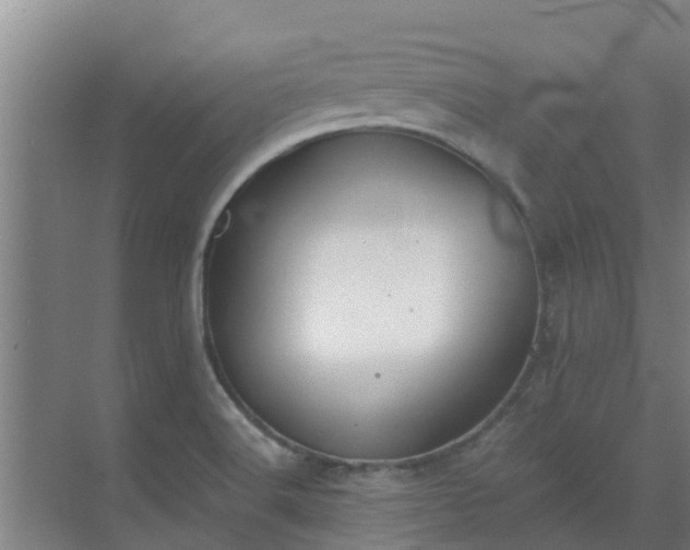 X0000069811516200605261735