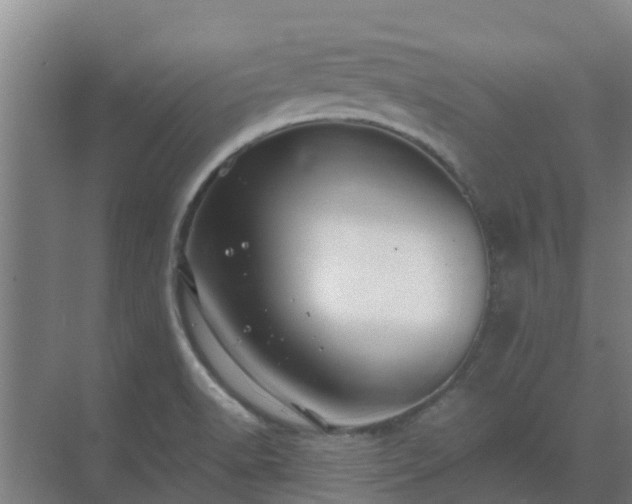 X0000069811518200605261735