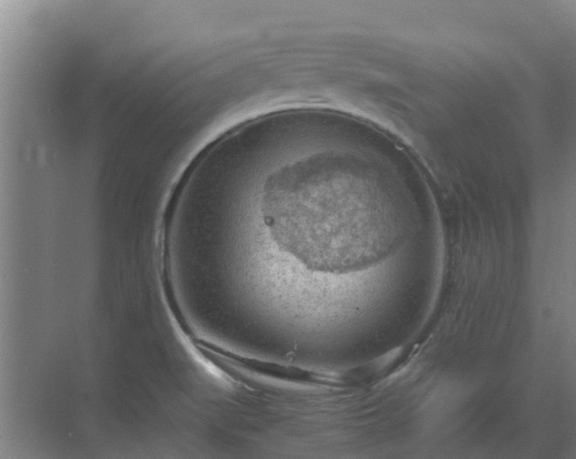 X0000069811519200605261735