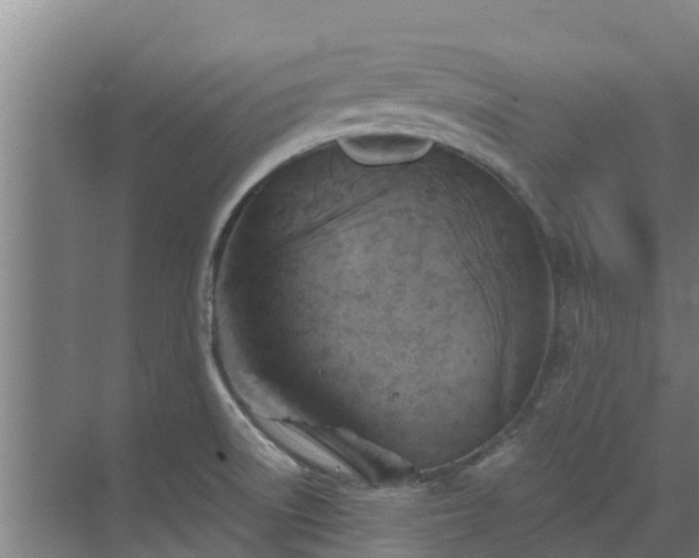 X0000069811522200605261735