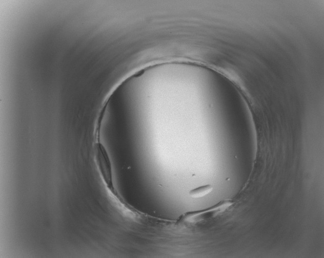 X0000069811524200605261735