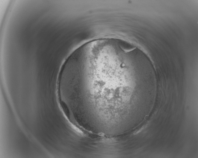 X0000069811525200605261735