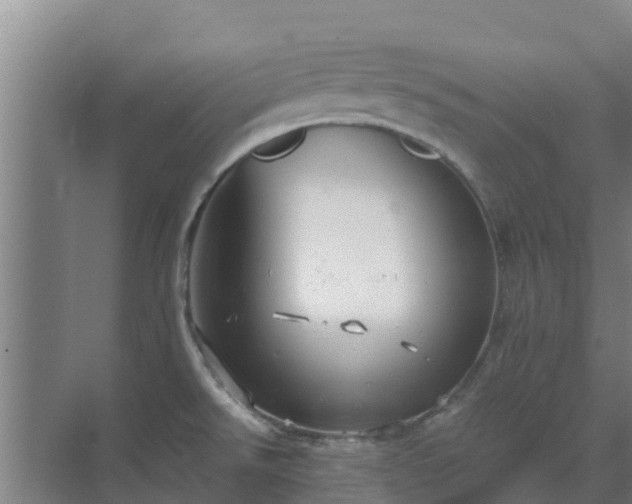 X0000069811526200605261735