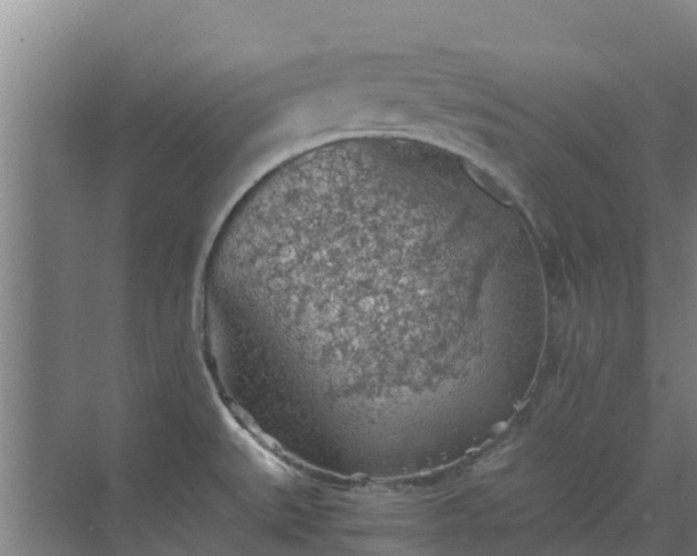 X0000069811527200605261735