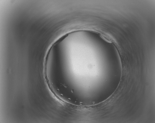 X0000069811528200605261735