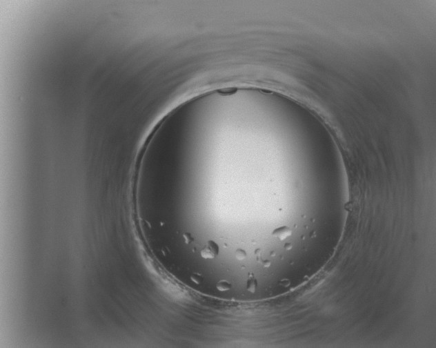 X0000069811530200605261735