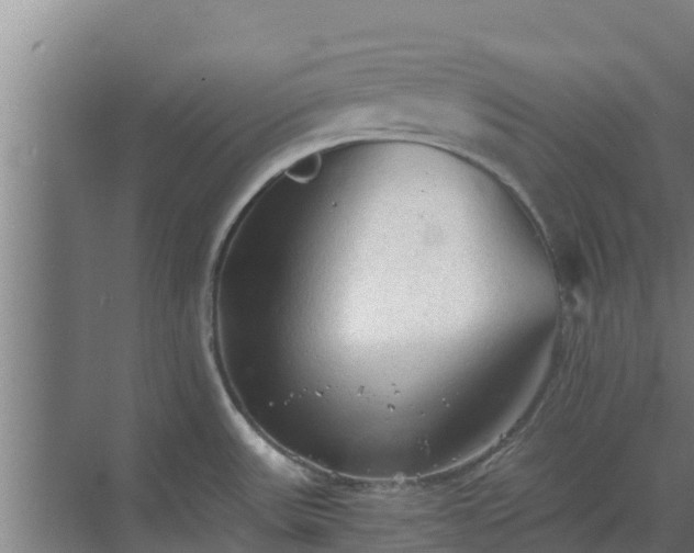 X0000069811531200605261735