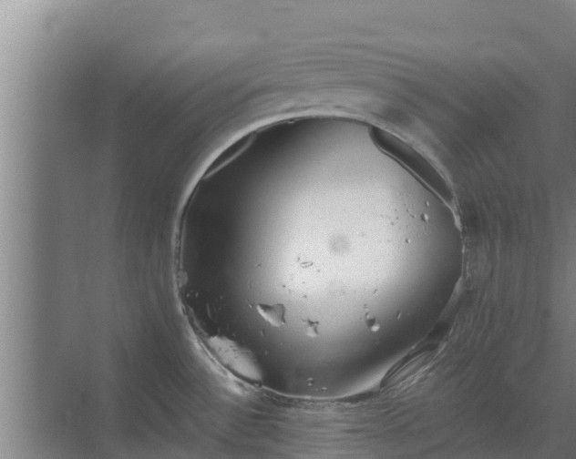 X0000069811532200605261735