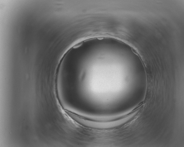 X0000069811534200605261735