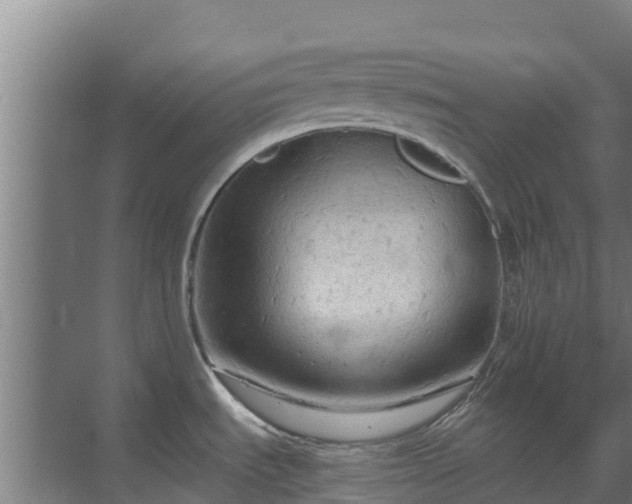 X0000069811535200605261735