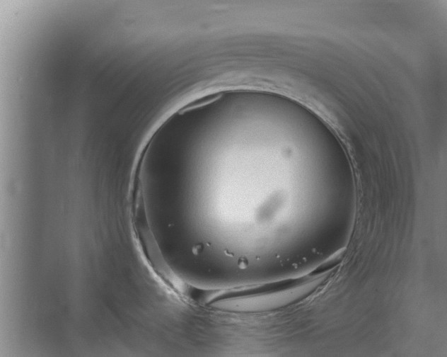 X0000069811536200605261735