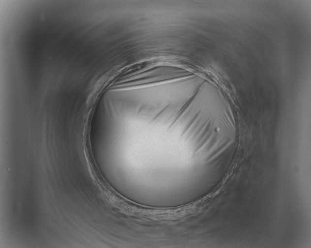 X0000069810001200606021517