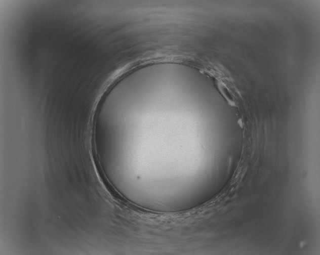 X0000069810003200606021517