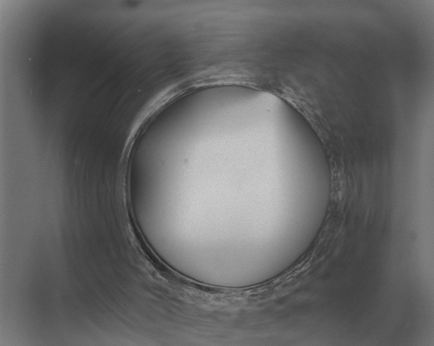 X0000069810004200606021517