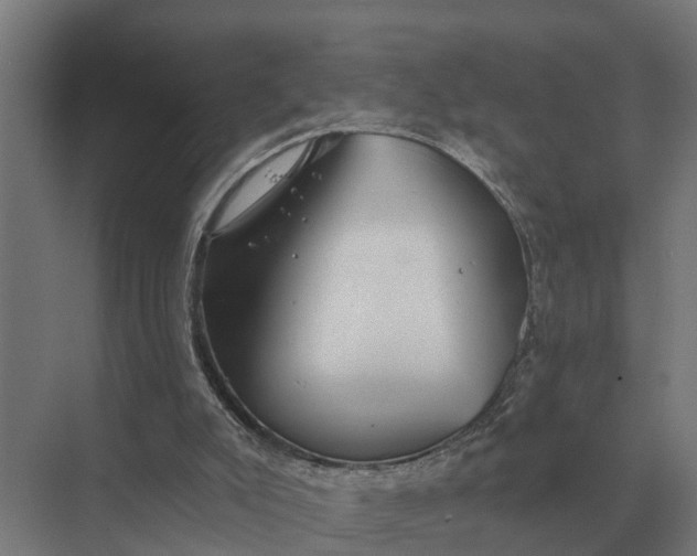 X0000069810007200606021517