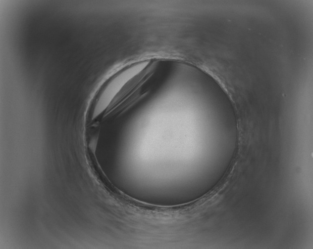 X0000069810008200606021517