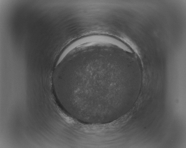 X0000069810009200606021517