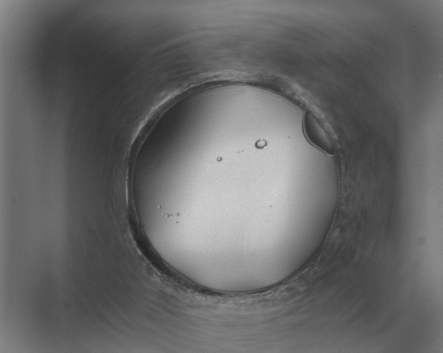 X0000069810011200606021517