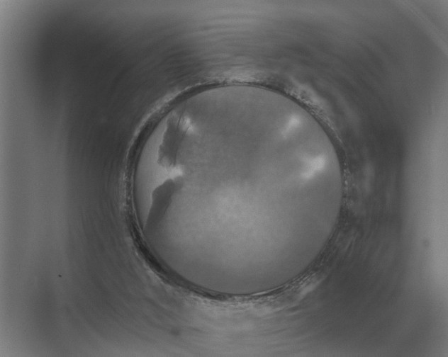 X0000069810012200606021517