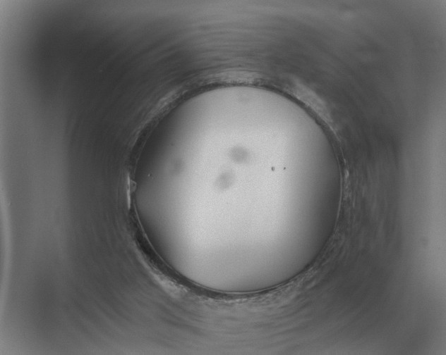 X0000069810013200606021517