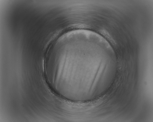 X0000069810014200606021517