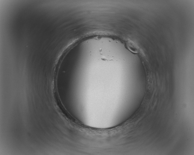 X0000069810015200606021517