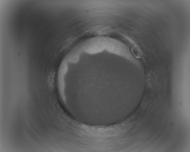 X0000069810018200606021517