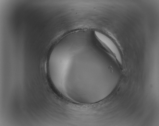 X0000069810019200606021517