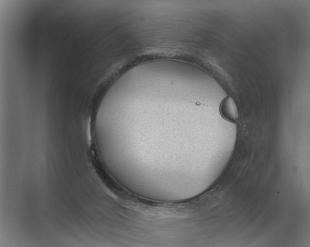 X0000069810020200606021517